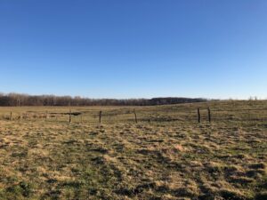 118+ ACRES - TILLABLE - PASTURE - CREEK - HOUSE - BARNS @ Old Normal Hall Banquet Facility | Ladoga | Indiana | United States